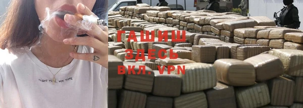 индика Алзамай