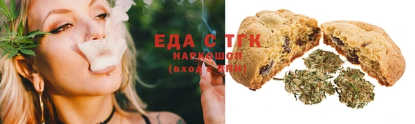индика Алзамай