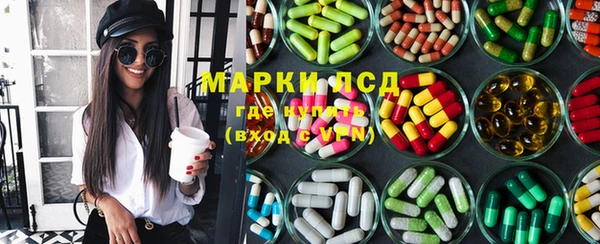 индика Алзамай
